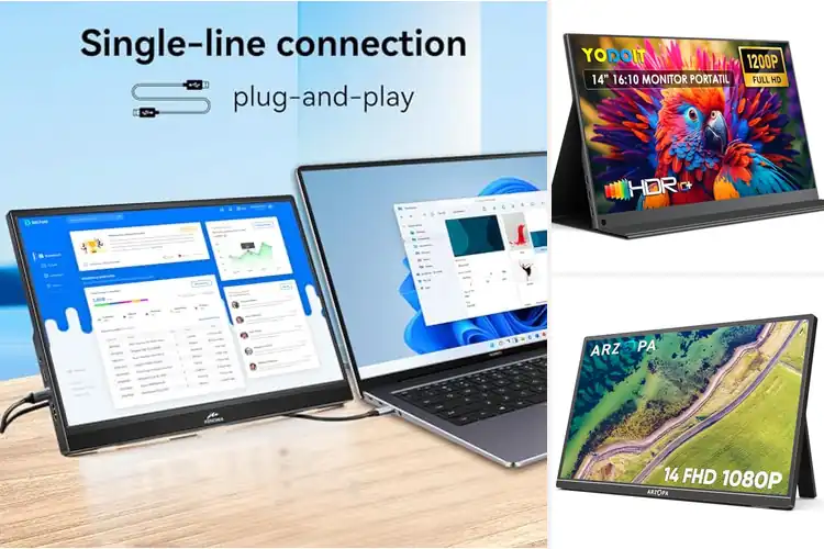 Detailed view of Best 14 Inch HD Display For Portability