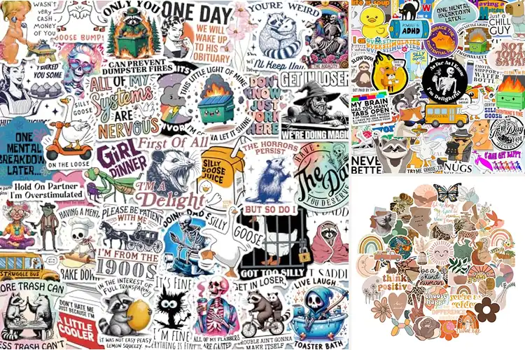 Detailed view of Best Laptop And Water Bottle Sticker Pack