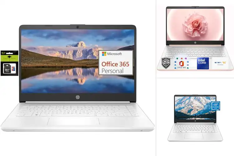 Detailed view of Best Lightweight Laptops